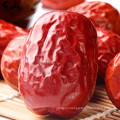 Chinese Shaanxi organic big red dates